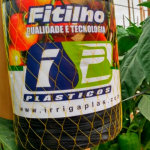 FITILHO PRETO